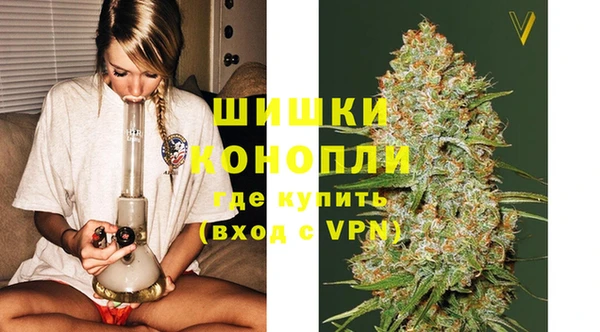 шишки Алексеевка