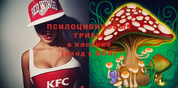 шишки Алексеевка