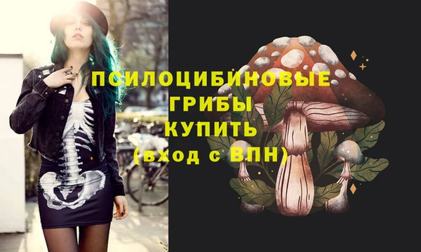 шишки Алексеевка