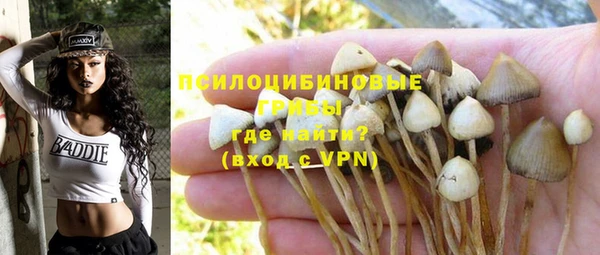 шишки Алексеевка