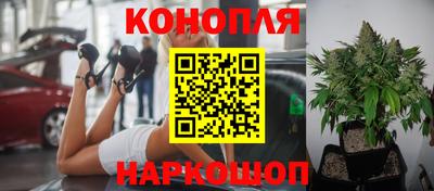 ешки Гай