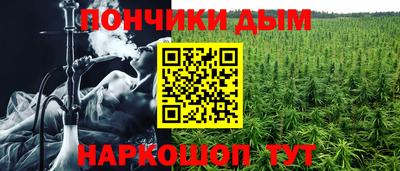 ешки Гай