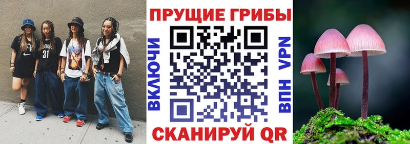 где продают наркотики  Мыски  Галлюциногенные грибы мухоморы 