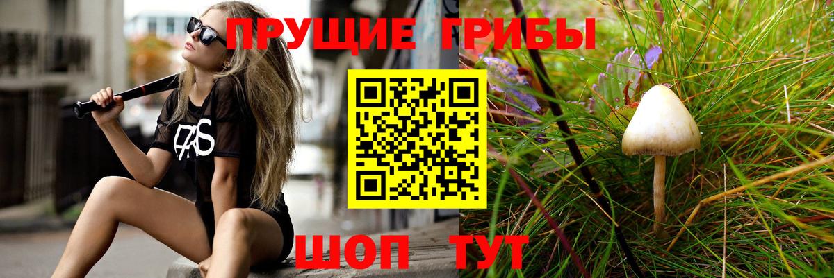 Мыски  Псилоцибиновые грибы Psilocybine cubensis  Псилоцибиновые грибы мицелий  Вход с VPN 